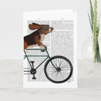 Hound Basset na Bicicleta
