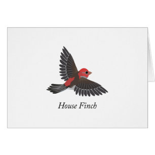 Cartão House Finch