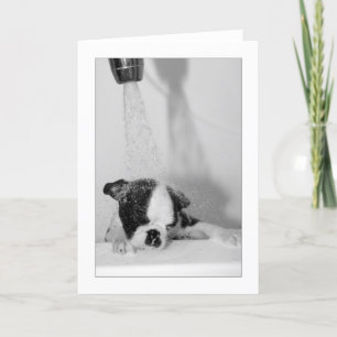 Cartão Howie in the Bath