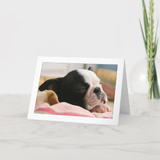 Cartão Howie Sleeping