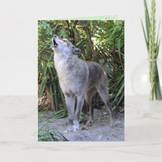 Cartão Howling Wolf Birthday Card