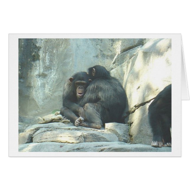 Cartão Huggin Chmps (Frente Horizontal)