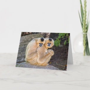 Cartão Hugging Buff Cheeked Gibbons Card