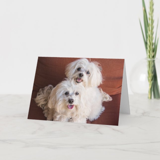 Cartão Hugs (Frente)