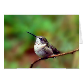 Cartão Hummer no Repouso