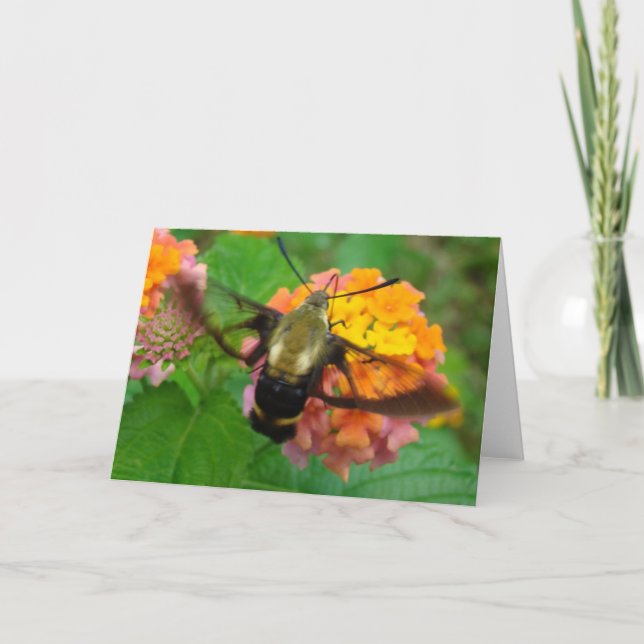 Cartão Humming! (Frente)