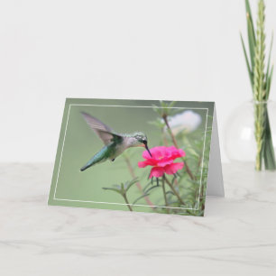 Cartão Hummingbird