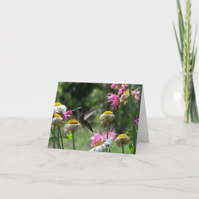 Cartão Hummingbird 4 (Frente)