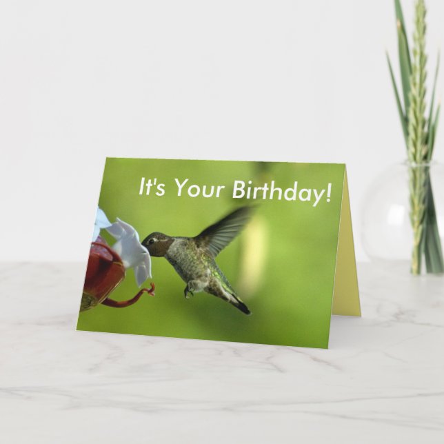 Cartão Hummingbird Birthday (Frente)