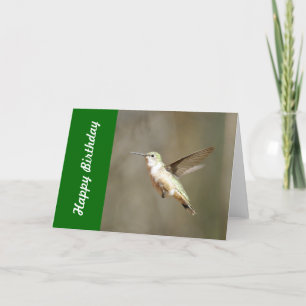 Cartão Hummingbird Birthday Card