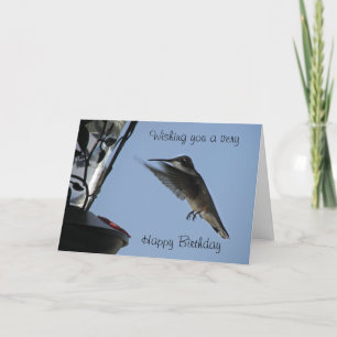 Cartão Hummingbird Card