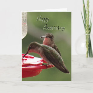 Cartão Hummingbird Couple on feeder- any occasion