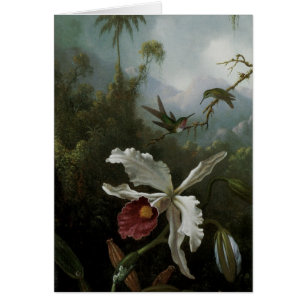 Cartão Hummingbird e Orquídea Branca por Martin J. Heade