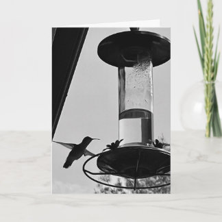 Cartão Hummingbird feeder
