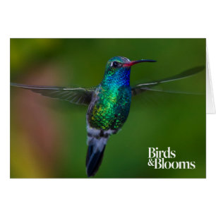 Cartão Hummingbird flutuante