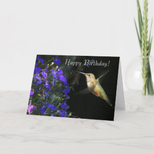 Cartão Hummingbird Happy Birthday Card