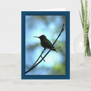 Cartão Hummingbird in Silhouette