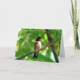 Cartão Hummingbird Morning