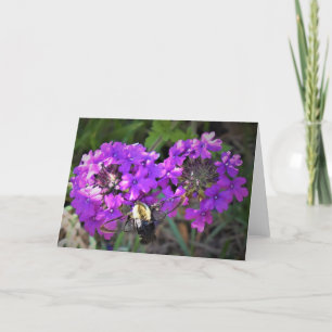 Cartão Hummingbird Moth & Verbena, card