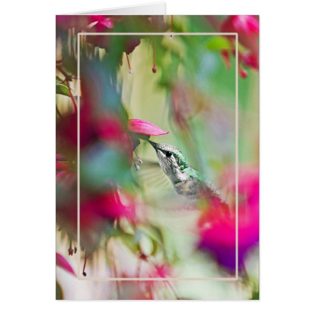 Cartão Hummingbird na Flauta Fuchsia Vertical. (Frente)