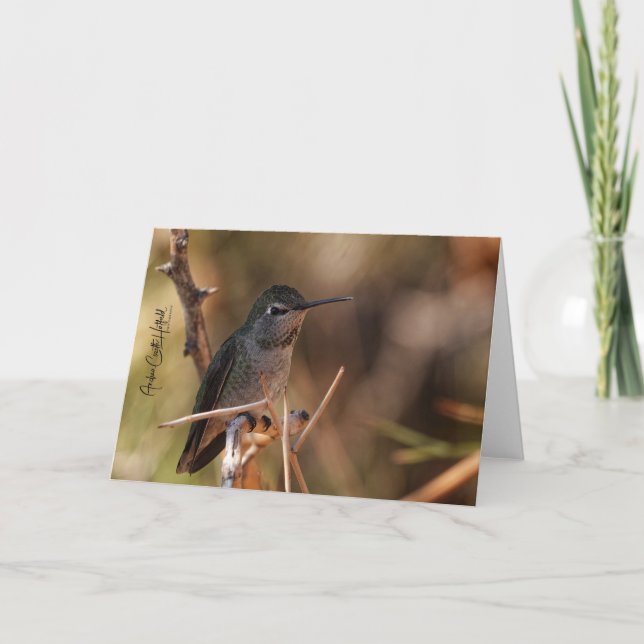 Cartão Hummingbird Note Card (Frente)