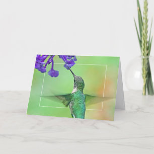 Cartão Hummingbird with Mona Lavender