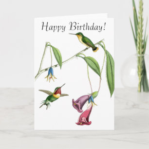 Cartão Hummingbirds & Flowers Birthday Card