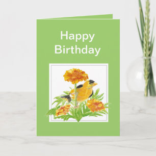 Cartão Humor Birthday, Goldfinch & Marigold