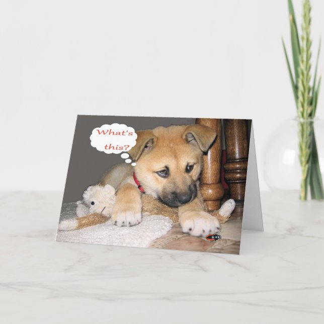 Cartão Humor cómico do aniversário (Frente)