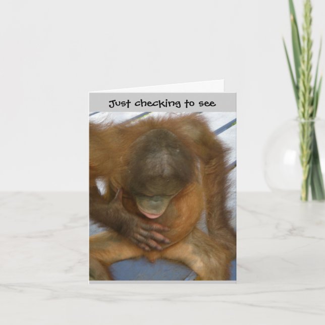 Cartão Humor da cirurgia da vasectomia (Frente)