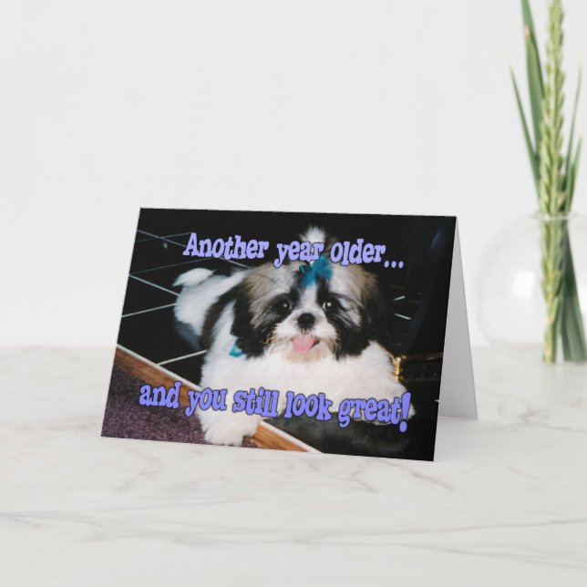 Cartão Humor de Aniversário - Cute Shih-Tzu Puppy (Frente)