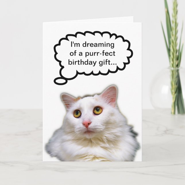 Cartão Humor de Aniversário de Gato Branco (Frente)