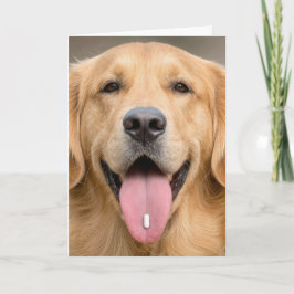 Cartão Humor de Aniversário de Golden Retriever
