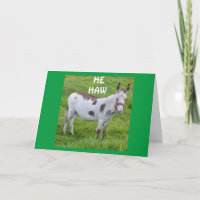 **HUMOR DE ANIVERSÁRIO DE UMA CADEIA DE DONKEY NÃO