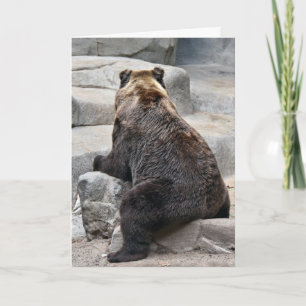 Cartão Humor de Aniversário do Urso Grizzly