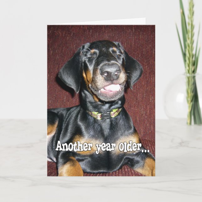 Cartão Humor de Aniversário - Doberman Pinscher Puppy sor (Frente)