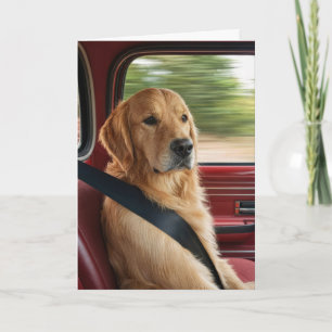 Cartão Humor de Aniversário Golden Retriever Usando Cinto