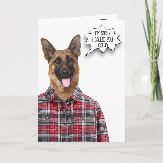 Cartão Humor de Cão de Aniversário German shepherd (Frente)