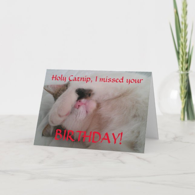 Cartão Humor de Gato de Aniversário Belo (Frente)