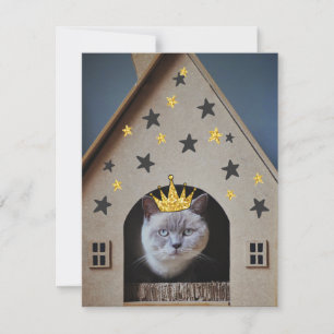 Cartão Humor de Gato Engraçado Coroa Brilhante Dourada Fo