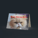 Cartão Humor do gato persa do aniversário do irmão de<br><div class="desc">Cartão do humor do gato persa do aniversário do irmão de Allan.

Você pode personalizar este cartão a todo o nome ou texto. Este gato persa é muito compreensivo. 
"Esqueça-o!
Você olha o meow-velous!
(Todo o tudo,  você me é relacionado!)
Feliz aniversario a um grande irmão!</div>