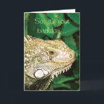 Cartão Humor engraçado animal do aniversário<br><div class="desc">Cartões de aniversário engraçados para o animal, o amante do réptil e da iguana, caracterizando um fim acima da opinião uma iguana verde, com as palavras "assim, é seu aniversário" na parte dianteira e "esfrie ... .. onde está o bolo?" no interior. PERSONALIZE-O: Adicione seus próprios mensagem ou subtítulos pessoais...</div>