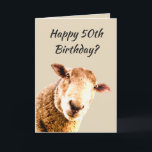 Cartão Humor engraçado do animal dos carneiros do 50th<br><div class="desc">Um 50th humor animal feliz de cinqüênta carneiros engraçados do aniversário que cresce mais velho é bullsheep</div>