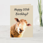 Cartão Humor engraçado do animal dos carneiros do 50th<br><div class="desc">Um 50th humor animal feliz de cinqüênta carneiros engraçados do aniversário que cresce mais velho é bullsheep</div>
