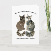 Humor envelhecido para amigos que amam gatos espos
