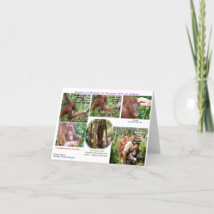 Cartão Humor romântico dos animais selvagens