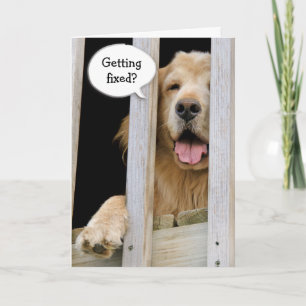 Cartão Humor sobre Vasectomia