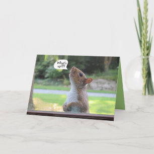 Cartão Humorous squirrel birthday occasion greeting card
