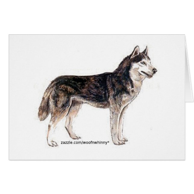 Cartão Husky Siberiano! (Frente Horizontal)