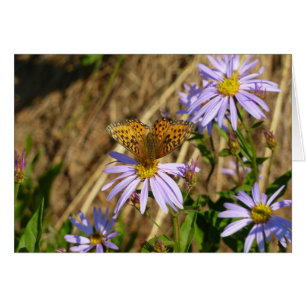Cartão Hydaspe Fritillary em Flores de Aster Roxos